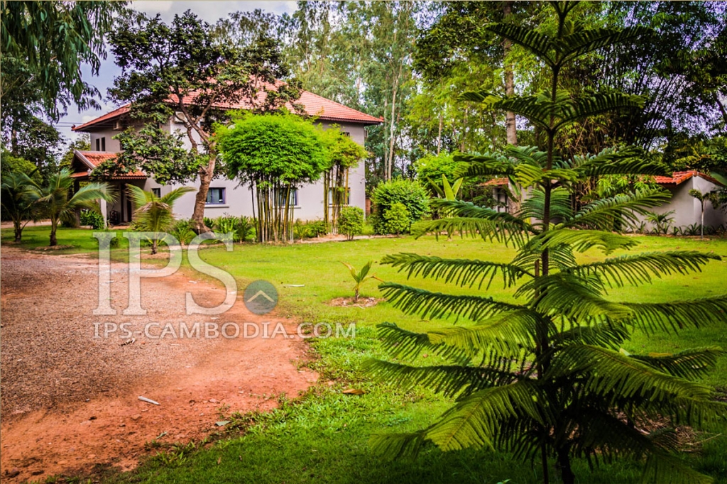5 Bedroom Villa For Rent in Ring Road, Siem Reap 4483 IPS Cambodia