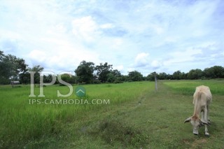 Land for Sale in Siem Reap - 12,000 sqm. thumbnail