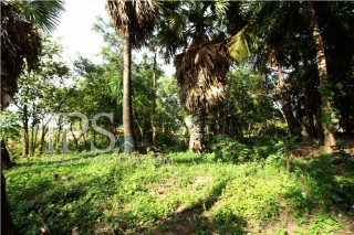 Land for Sale in Siem Reap  thumbnail