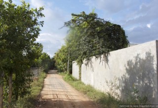 Land for Sale in Siem Reap - 767 sqm. thumbnail