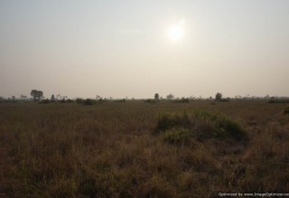 Agricultural Land for Sale in Siem Reap - Bakong thumbnail