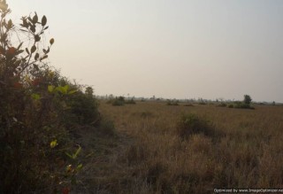 Agricultural Land for Sale in Siem Reap - Bakong thumbnail