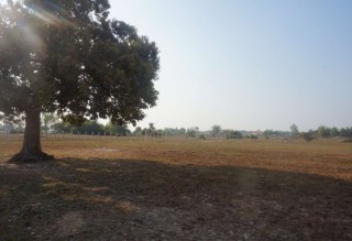 Land In Siem Reap - Svay Dangkum thumbnail
