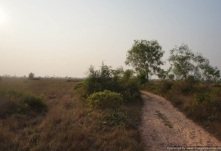 Agricultural Land for Sale in Siem Reap - Bakong thumbnail