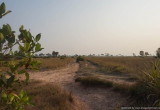 Agricultural Land for Sale in Siem Reap - Bakong thumbnail