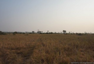 Agricultural Land for Sale in Siem Reap - Bakong thumbnail