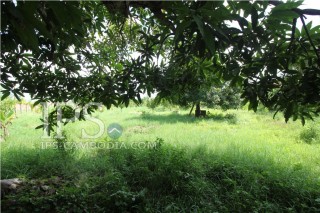 Land For Sale in Siem Reap - Khnar Village thumbnail