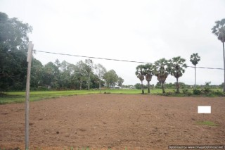 3000 Sqm Land For Sale - Wat Svay, Siem Reap thumbnail