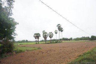 3000 Sqm Land For Sale - Wat Svay, Siem Reap thumbnail