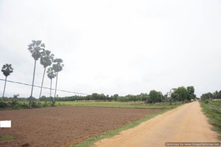 3000 Sqm Land For Sale - Wat Svay, Siem Reap thumbnail