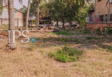  3916 sqm.  Vacant Land For Sale - Slor Kram, Siem Reap thumbnail