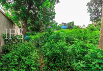 4600 sqm Land For Sale - Sala Kamreuk, Siem Reap thumbnail