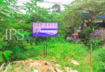 4600 sqm Land For Sale - Sala Kamreuk, Siem Reap thumbnail