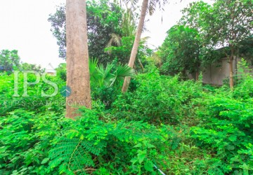 4600 sqm Land For Sale - Sala Kamreuk, Siem Reap thumbnail