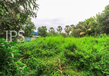 4600 sqm Land For Sale - Sala Kamreuk, Siem Reap thumbnail