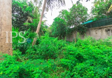 4600 sqm Land For Sale - Sala Kamreuk, Siem Reap thumbnail