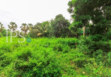 4600 sqm Land For Sale - Sala Kamreuk, Siem Reap thumbnail