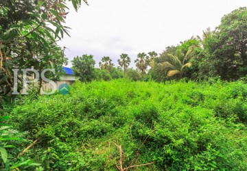 4600 sqm Land For Sale - Sala Kamreuk, Siem Reap thumbnail