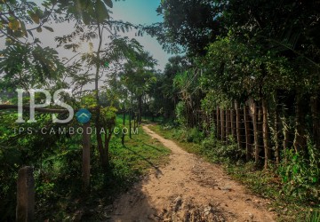 Land  For Sale - Svay Dangkum, Siem Reap thumbnail