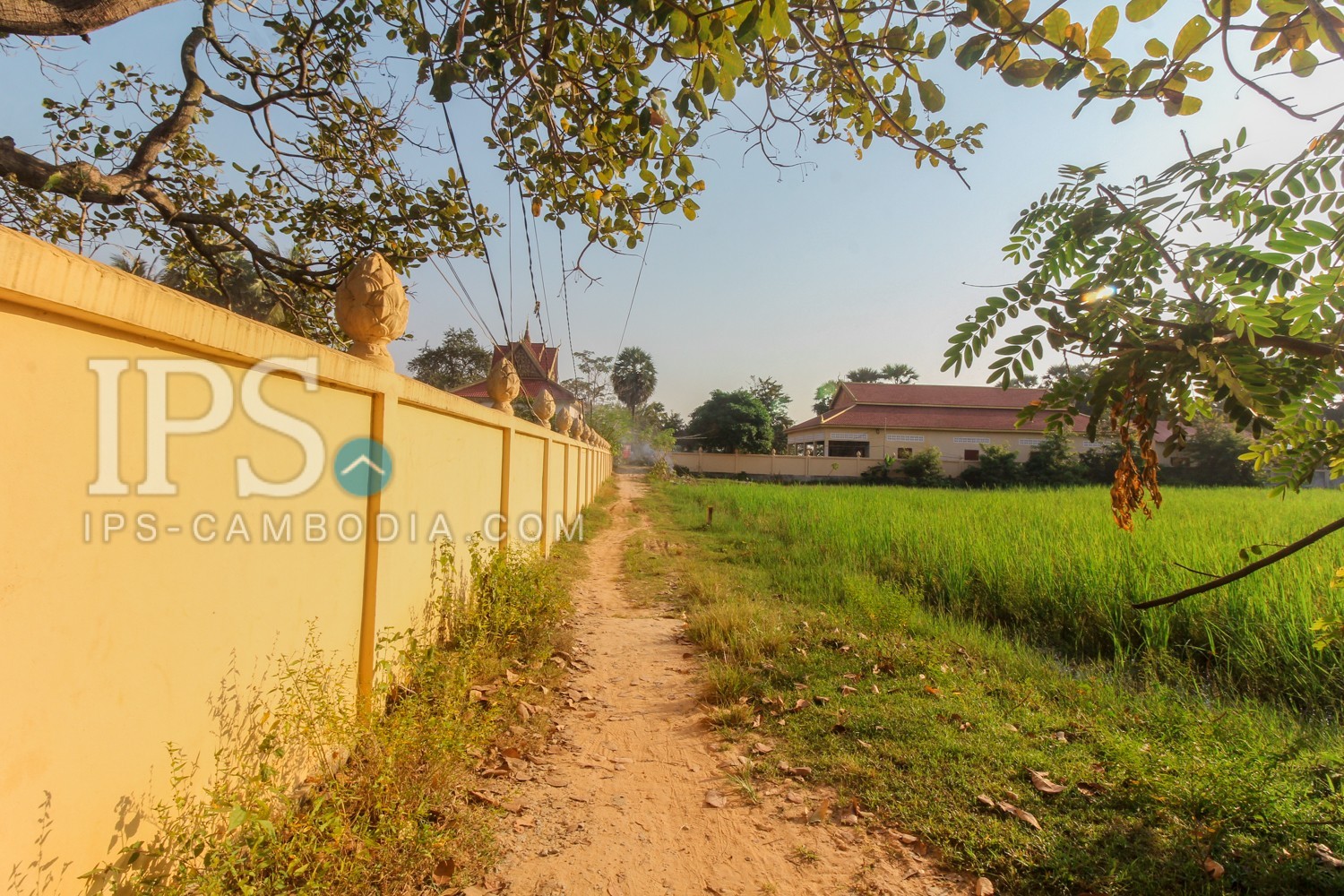 Land For Sale Svay Dangkum, Siem Reap 7657 IPS Cambodia