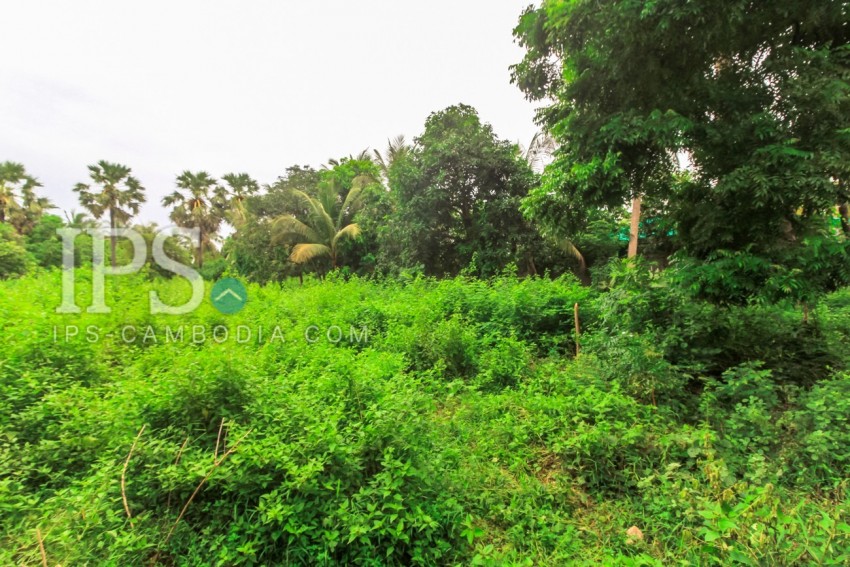 4600 sqm Land For Sale - Sala Kamreuk, Siem Reap