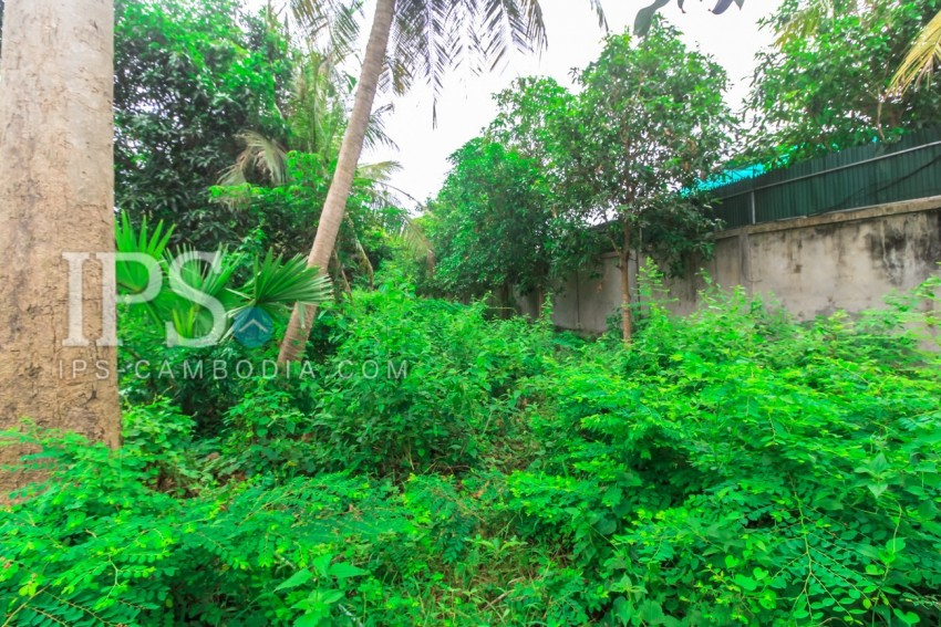 4600 sqm Land For Sale - Sala Kamreuk, Siem Reap