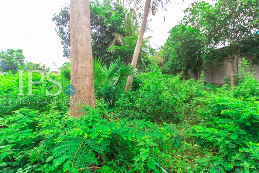 4600 sqm Land For Sale - Sala Kamreuk, Siem Reap