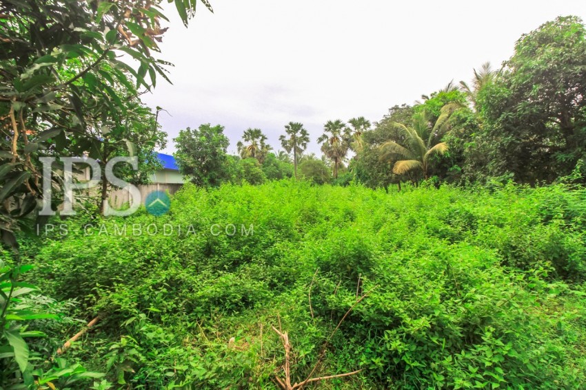 4600 sqm Land For Sale - Sala Kamreuk, Siem Reap