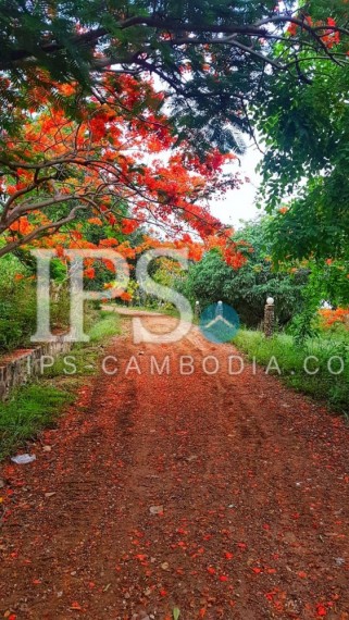 4 Hectares land and resort for sale in Kep