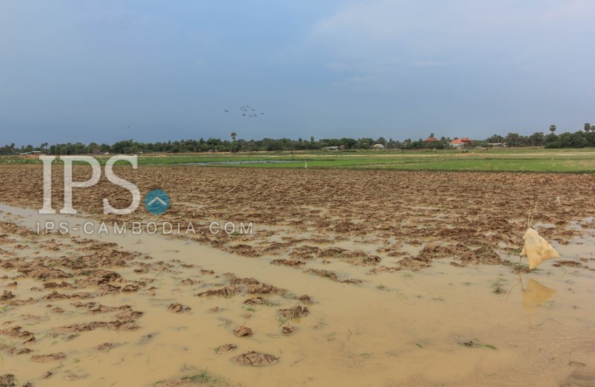   Land For Sale - Chong Khneas, Siem Reap
