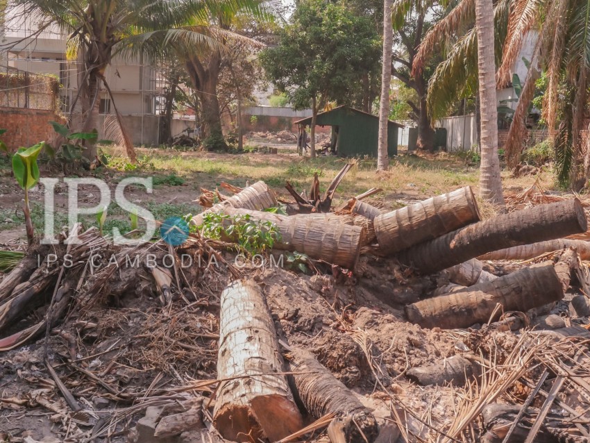  3916 sqm.  Vacant Land For Sale - Slor Kram, Siem Reap