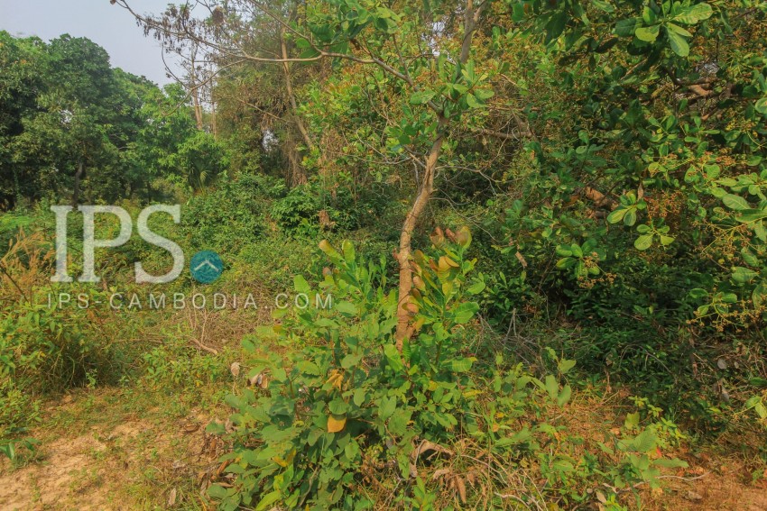 Land for Development For Sale - Bakong,  Siem Reap