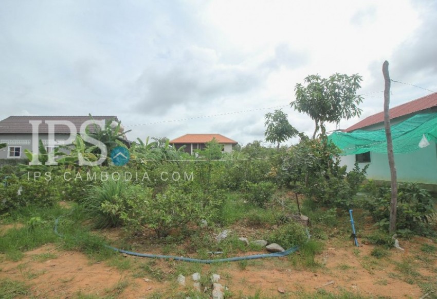 Land for urgent sale in Siem Reap- Svay Dangkum