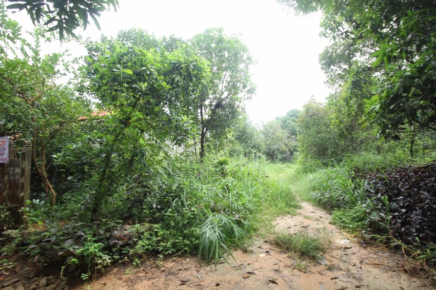 Siem Reap Land for Sale - 927 sqm.