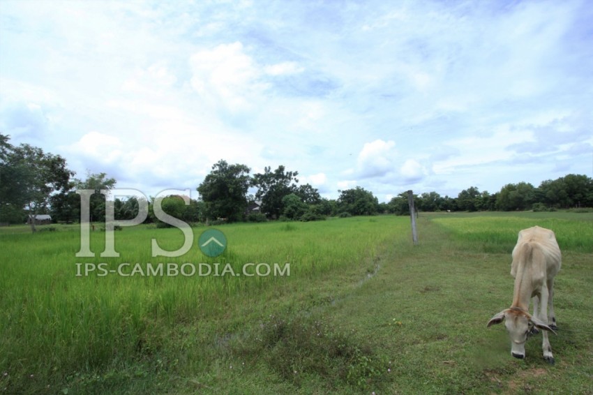 Land for Sale in Siem Reap - 12,000 sqm.