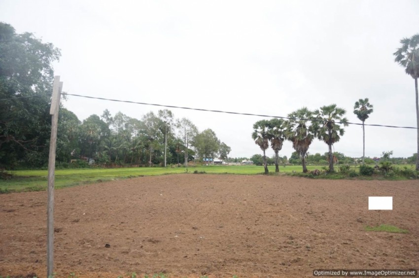 3000 Sqm Land For Sale - Wat Svay, Siem Reap