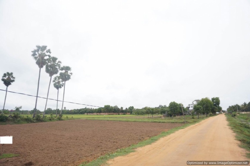 3000 Sqm Land For Sale - Wat Svay, Siem Reap