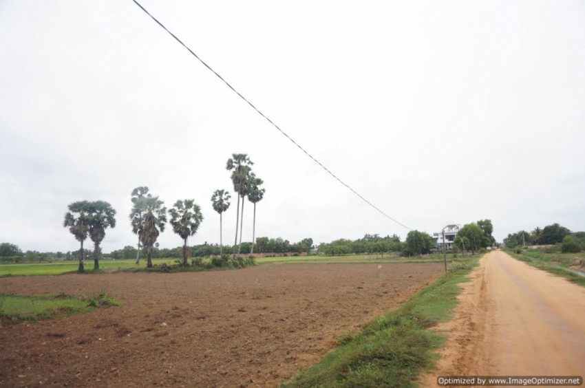 3000 Sqm Land For Sale - Wat Svay, Siem Reap