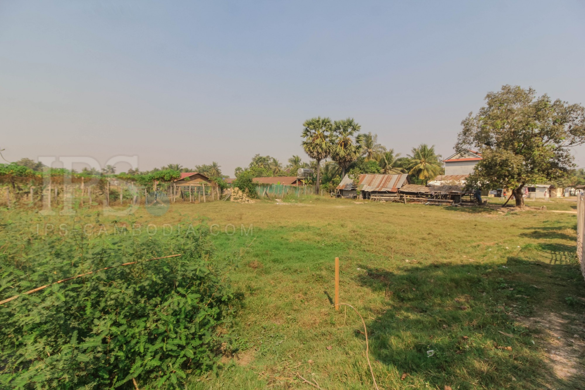 5,000 sq.m Land For Sale Sra Ngae, Siem Reap 8066 IPS Cambodia