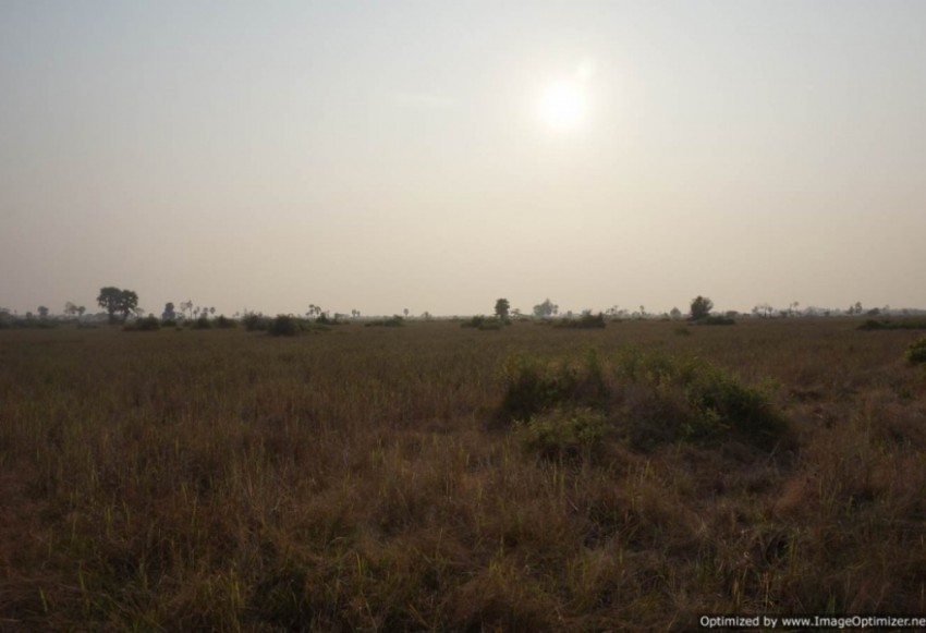 Agricultural Land for Sale in Siem Reap - Bakong