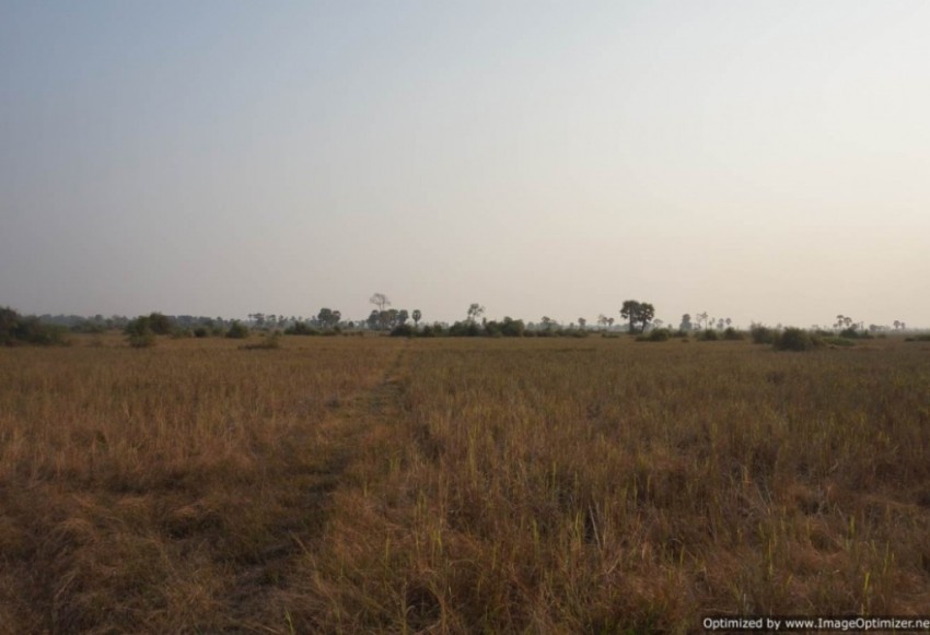 Agricultural Land for Sale in Siem Reap - Bakong