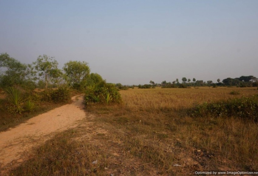 Agricultural Land for Sale in Siem Reap - Bakong