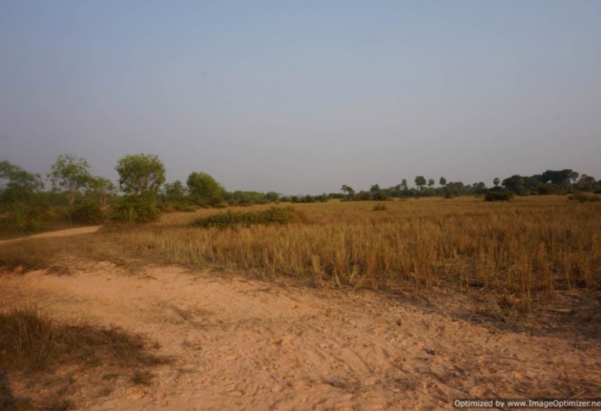 Agricultural Land for Sale in Siem Reap - Bakong