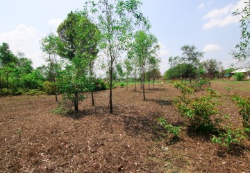  Land For Sale - Sotni Kum, Siem Reap thumbnail