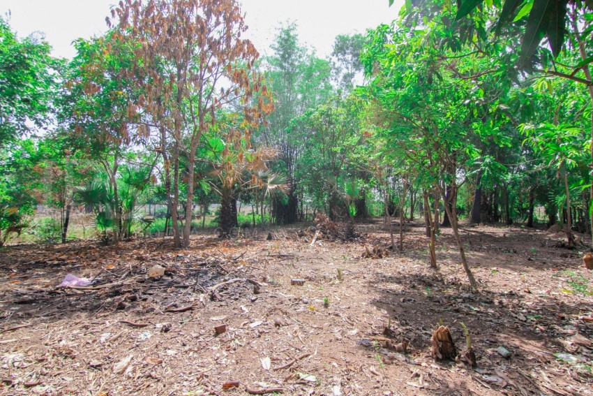 756 sq.m. Land For Sale - Svay Thom, Siem Reap