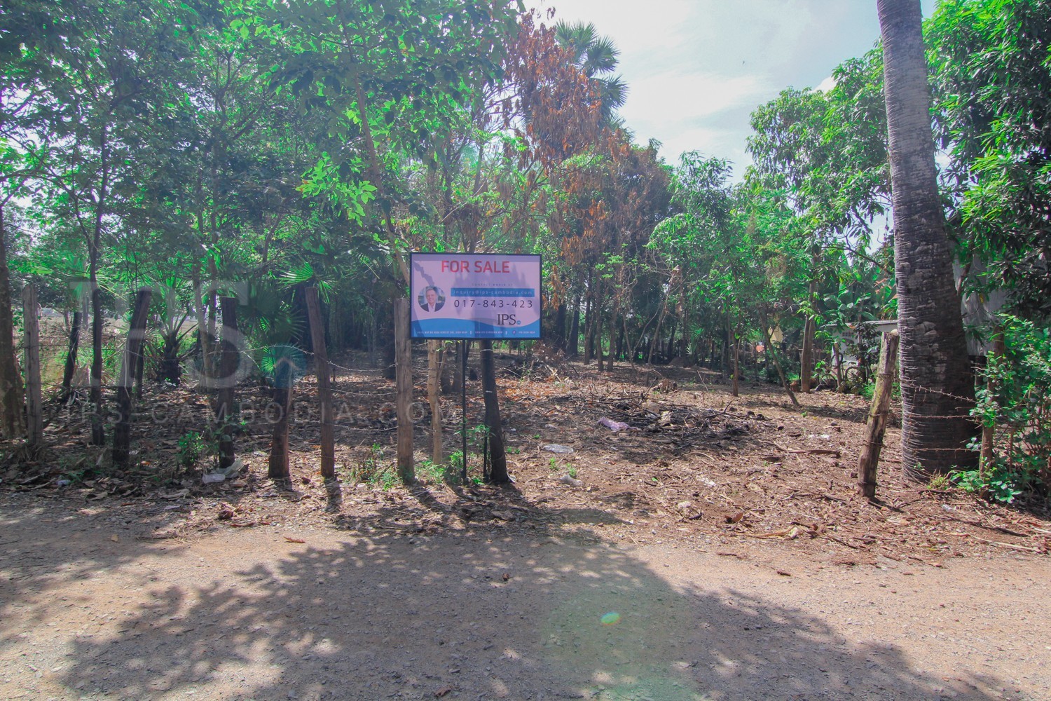 825 Sq M Land For Sale Svay Thom Siem Reap 8609 Ips Cambodia