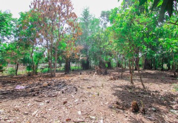 756 sq.m. Land For Sale - Svay Thom, Siem Reap thumbnail