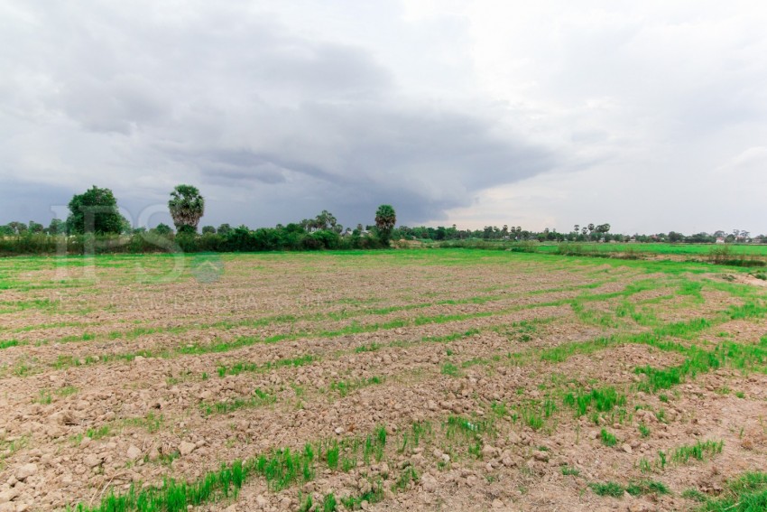 6,250 sq.m. Land  For Sale - Chreav, Siem Reap