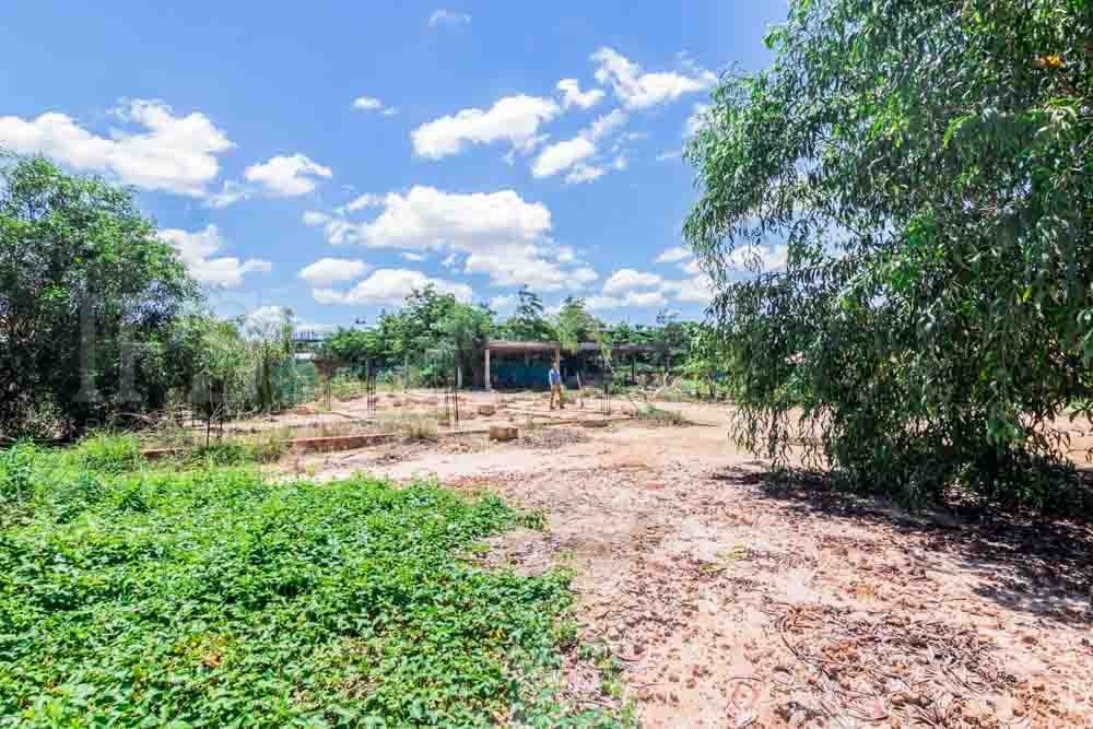 5000 Sqm Land  For Sale - Sala Kamreuk, Siem Reap - Image 11