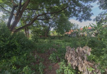 1200 sqm Land For Sale - Svay Dangkum, Siem Reap thumbnail